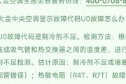 探讨大金空调中央空调故障代码及解决方法（解读大金中央空调常见故障代码）