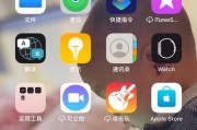 如何去除IOS系统小白点？小白点出现的原因及解决步骤是什么？