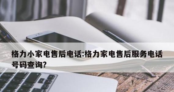 农村净水器维修方法（解决农村净水器常见问题的有效方法）